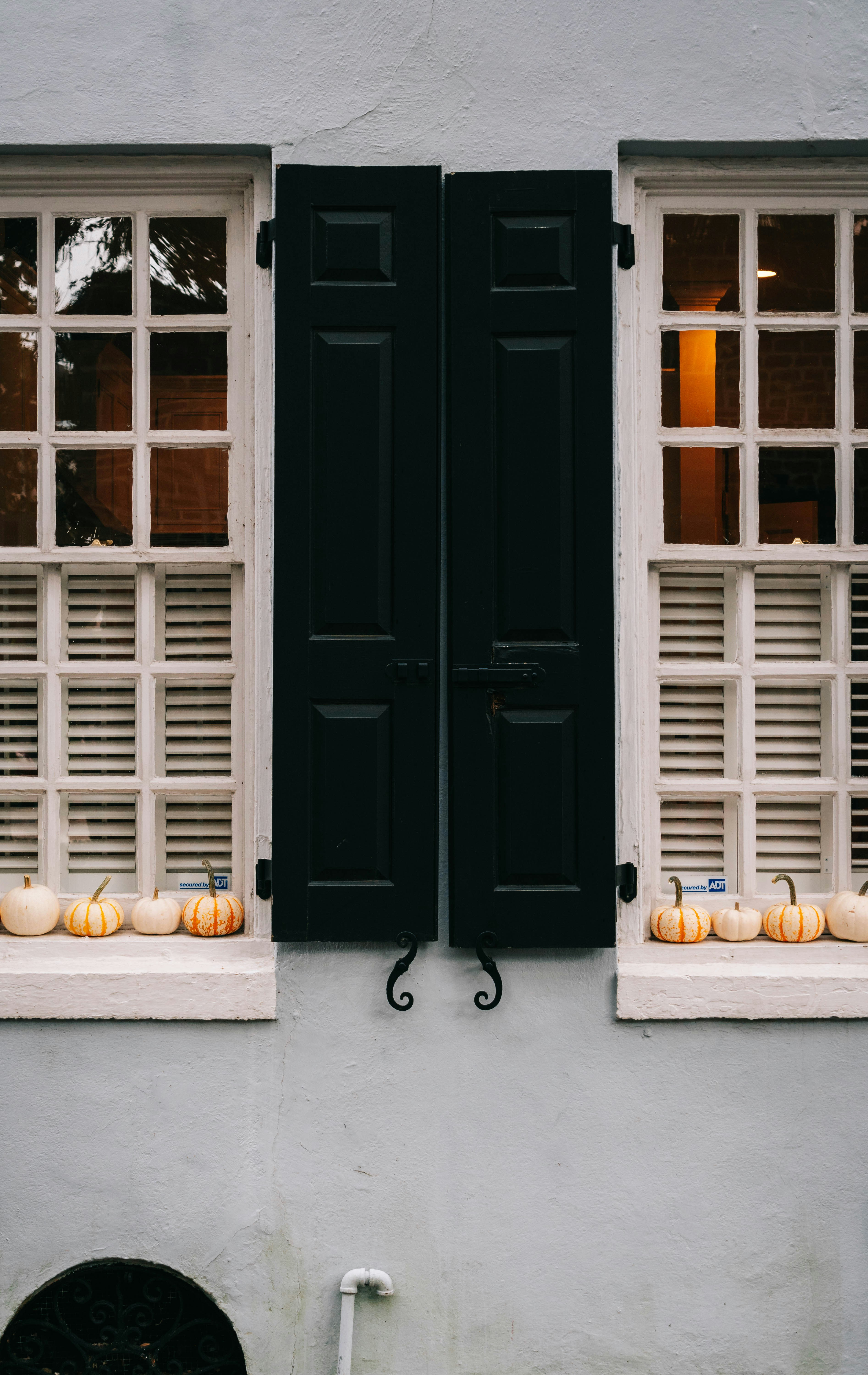 Spotted: The Ultimate Guide to Capturing Charleston’s Fall Charm